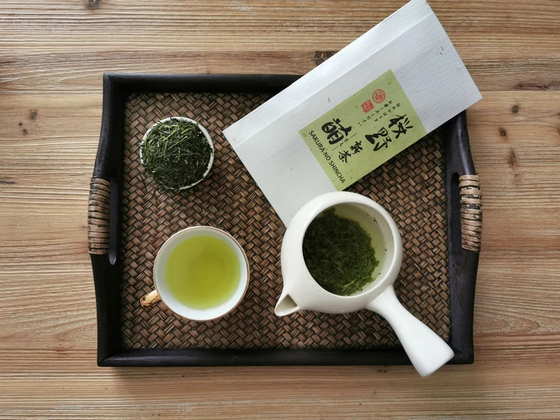 Shincha Moe 2026