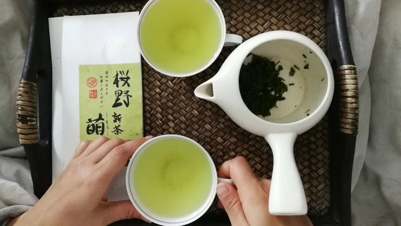 Shincha Moe 2026