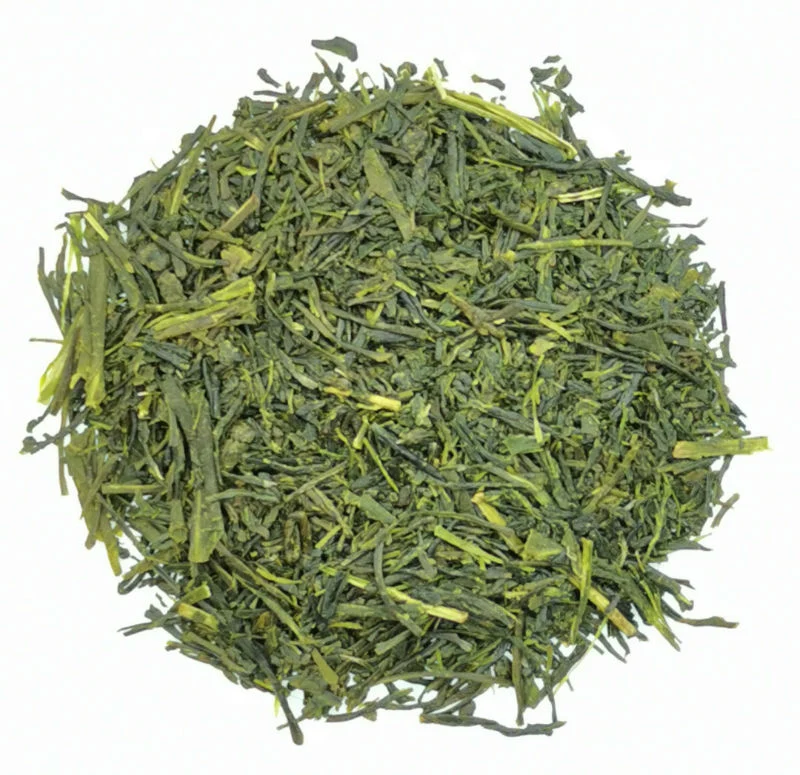 Shincha Moe 2026