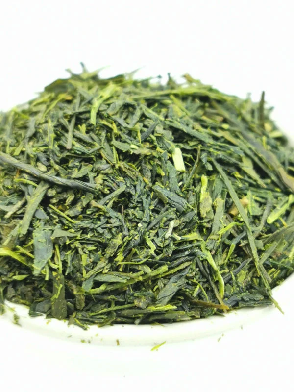 Shincha Moe 2026