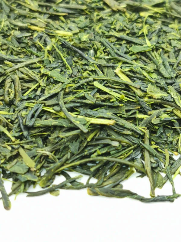 Shincha Moe 2026