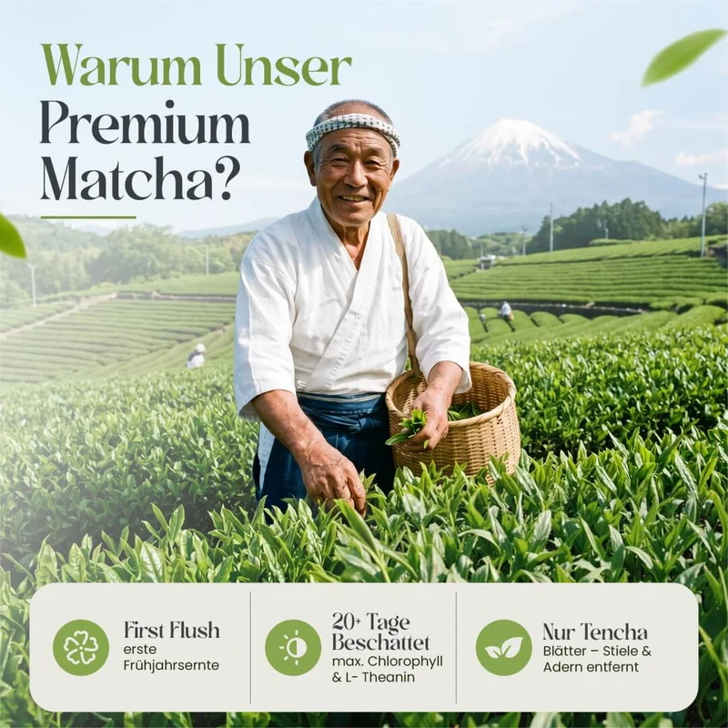Premium Matcha
