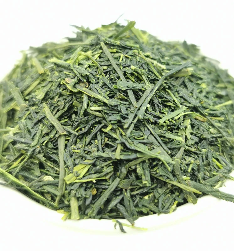 Morimoto-Kamimizu Shincha 2026