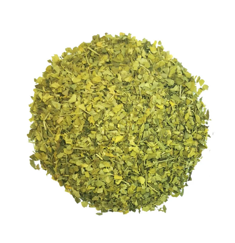 Moringa Tee (Moringa oleifera)