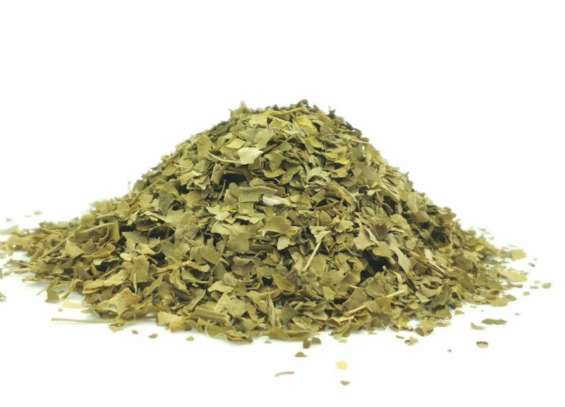 Moringa Tee (Moringa oleifera)