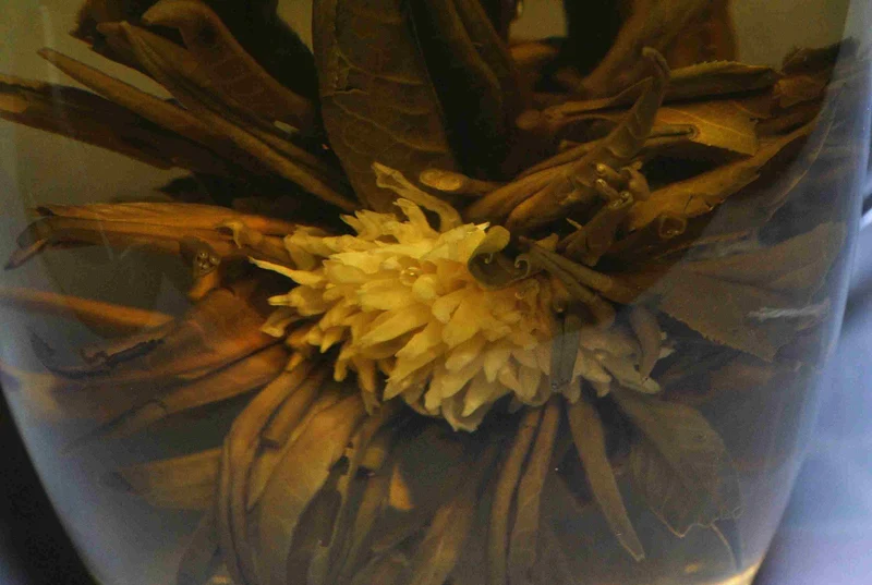 Teeblume (10 Stück)