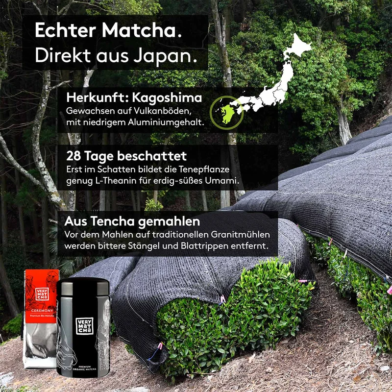 Bio Matcha CEREMONY 30g Nachfüllpack