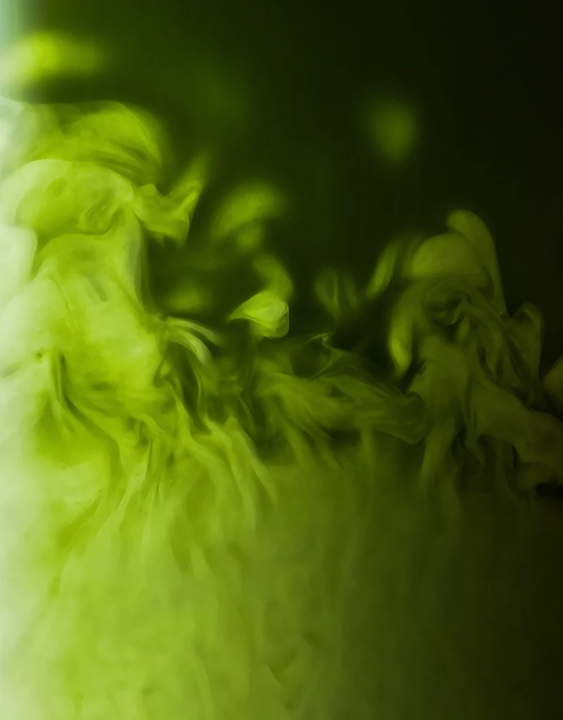 Matcha Cérémonie Vanille 30g