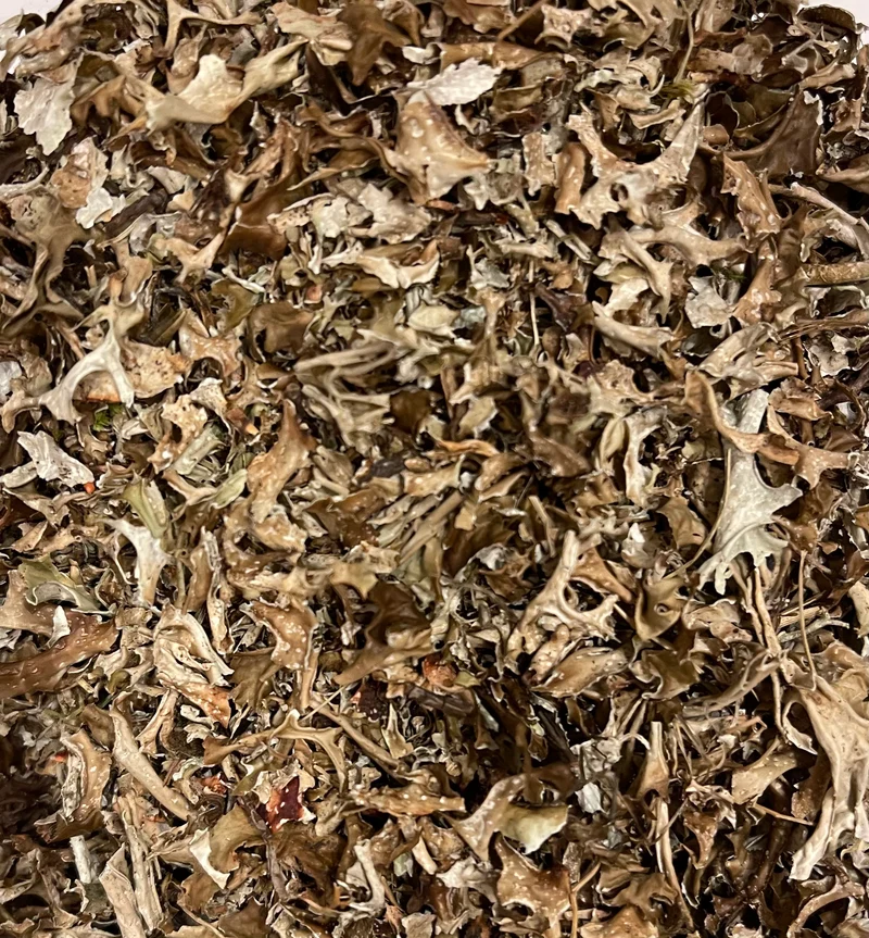 Isländisches Moos BIO