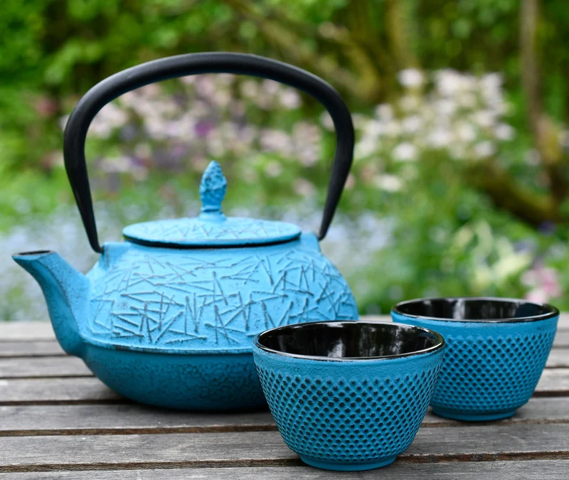 Cast Iron Tea Cup Pair