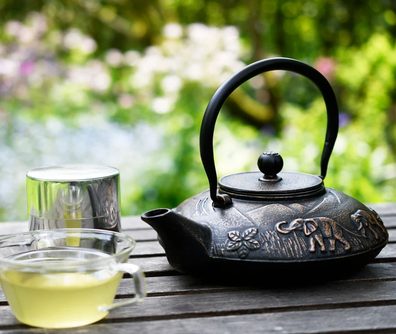 Cast Iron Teapot Elephant 1.1L