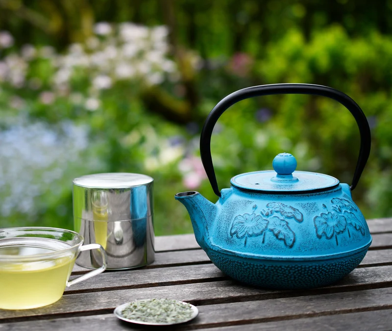 Cast Iron Teapot Lotus Flower 900ml