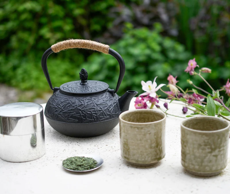 Cast Iron Teapot Pine Needle