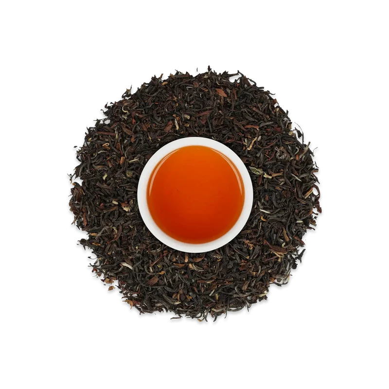 Darjeeling Muse