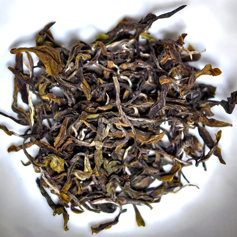 Gelber Tee aus dem Youliang-Gebirge nach dem Regen (biodynamisch, pestizidfrei)