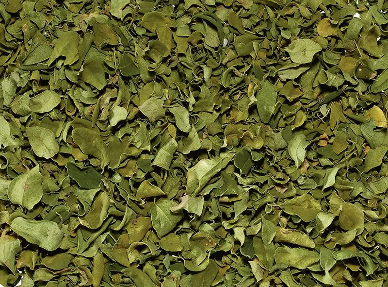 Lose Kräuter Moringa BIO