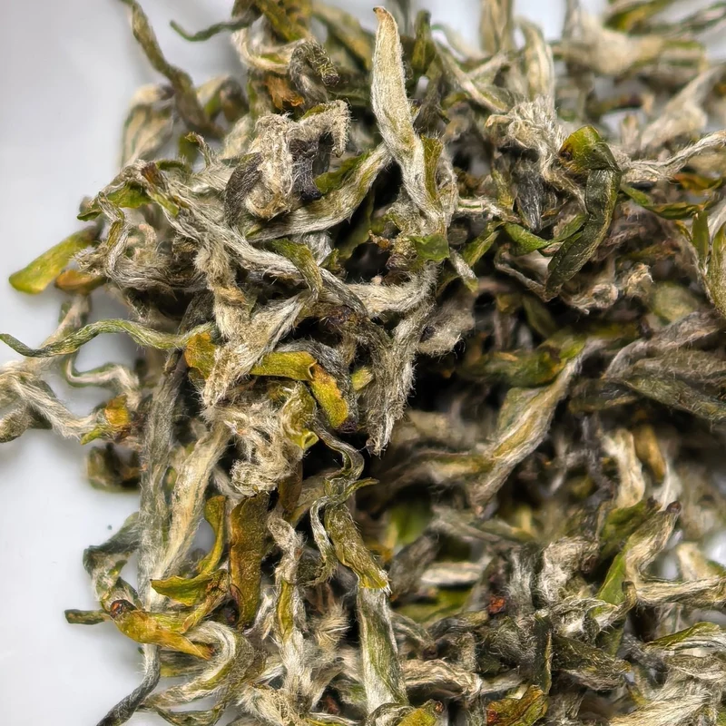 Frühe Ernte Mengding Ganlu Premium Grüner Tee