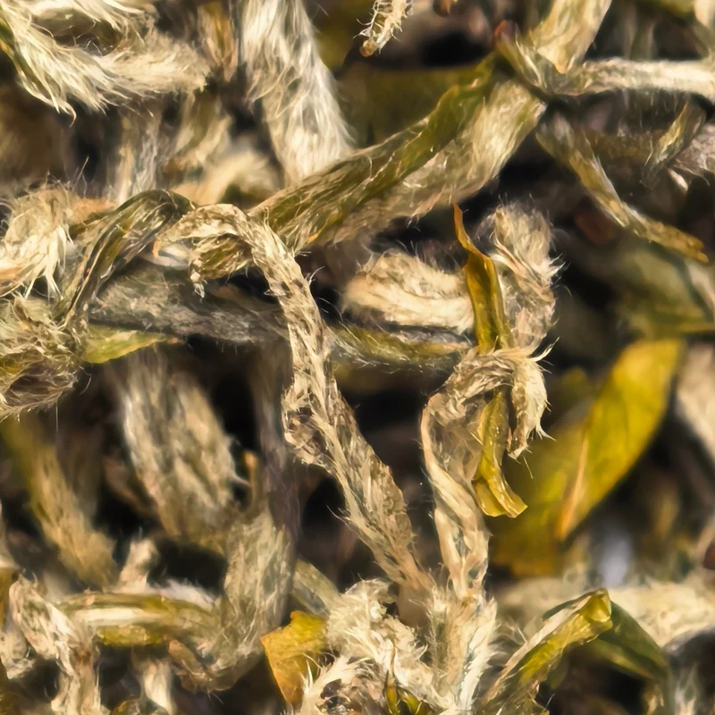 Frühe Ernte Mengding Ganlu Premium Grüner Tee
