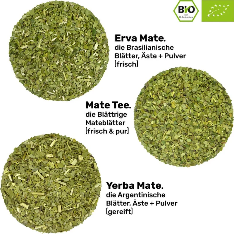 Mate brasilianisch zubereiten