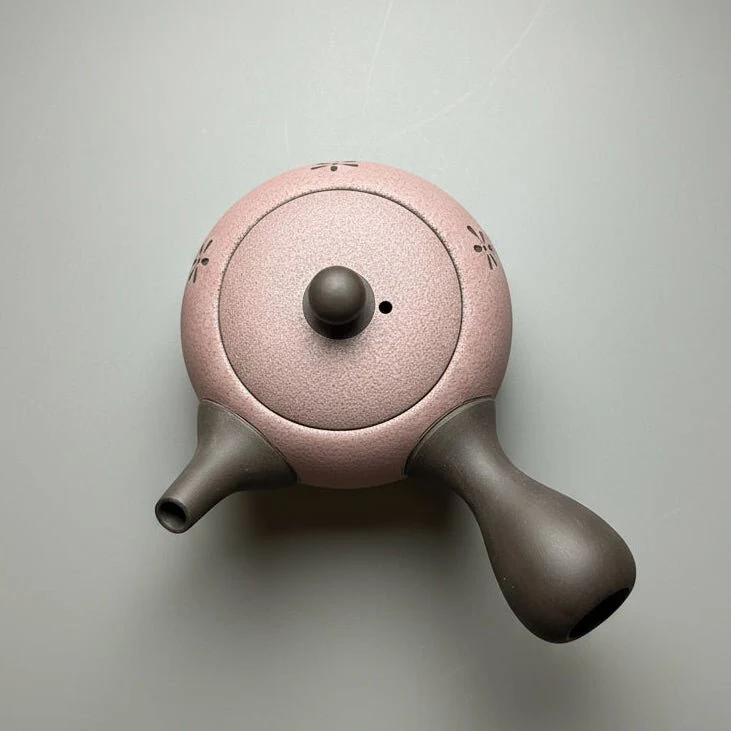 Japanische Kyusu Tokoname Teekannen-Kollektion
