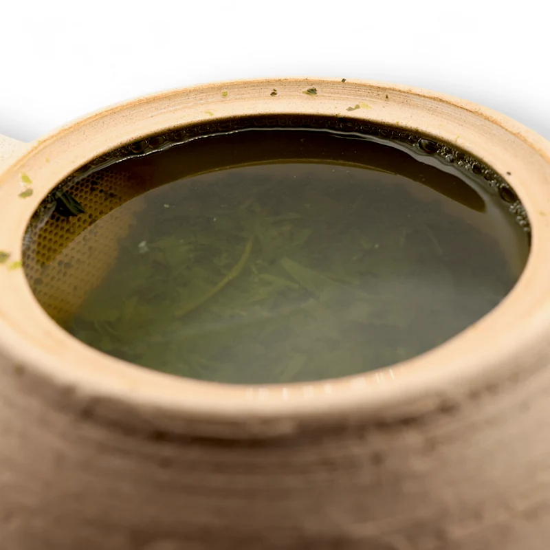 Kagoshima Bio Yorokobi Sencha (Neue Ernte 2026)