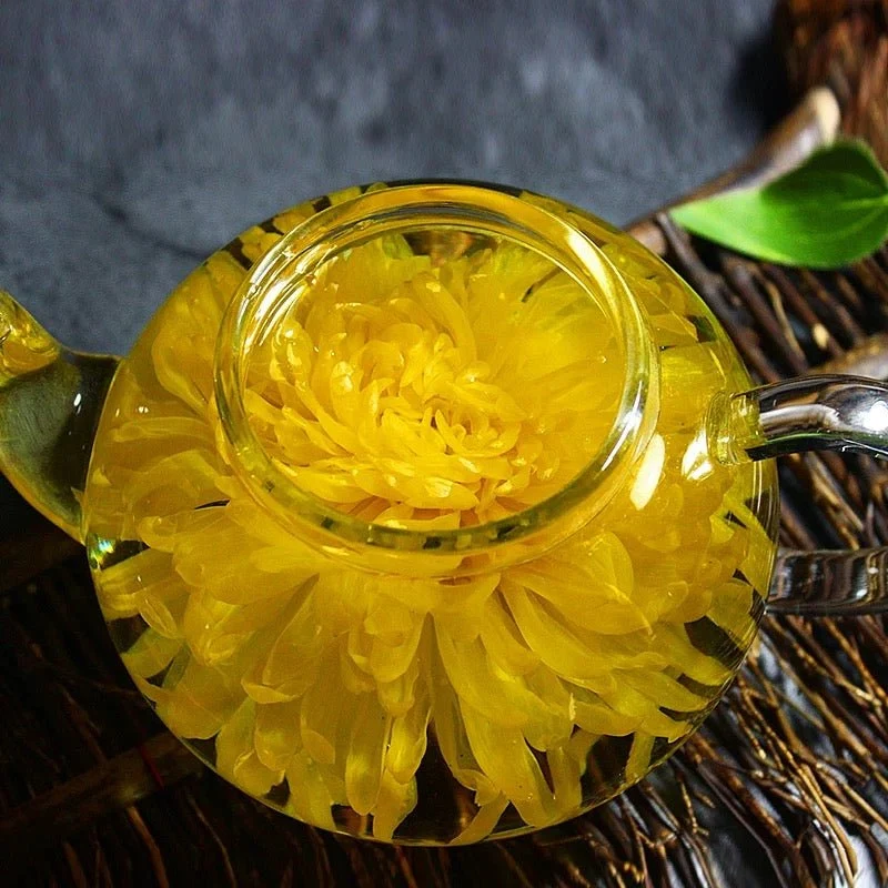 Imperial Golden Silk Chrysantheme in Wettbewerbsqualität