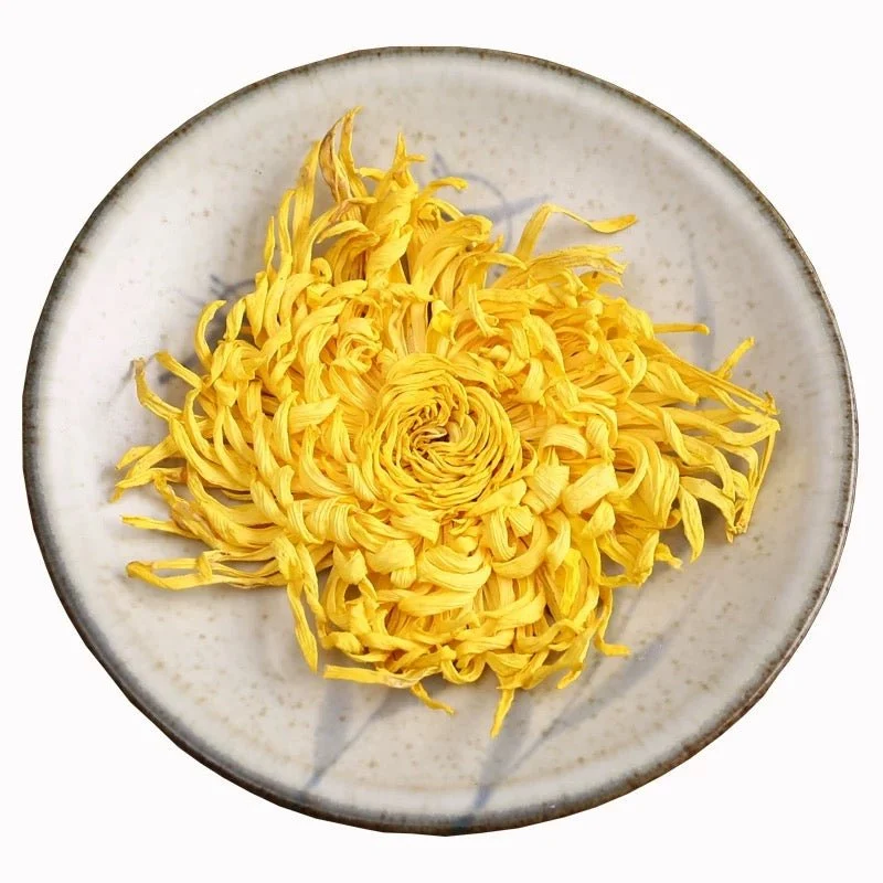 Imperial Golden Silk Chrysantheme in Wettbewerbsqualität
