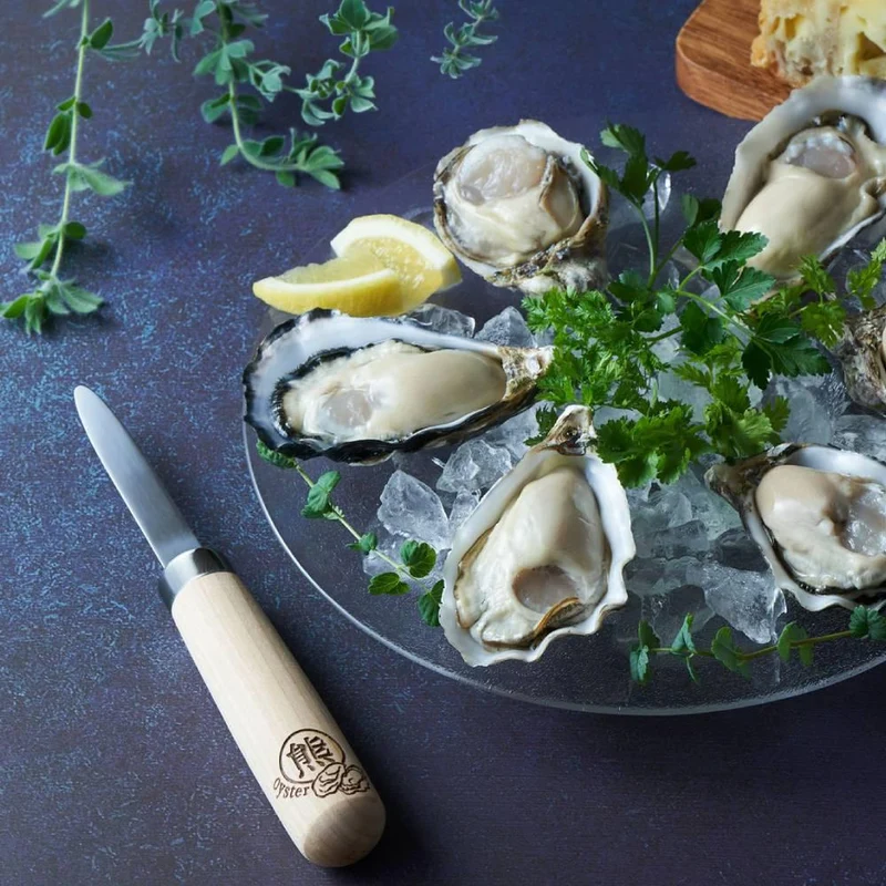 Kumagai Handcrafted Oyster Knife For Single Grain Oysters 8cm