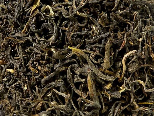 Grüntee Leafy Green Kolumbien BIO