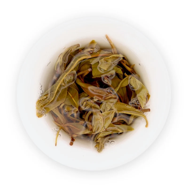 Phoenix Mountain Gushu Raw Puerh