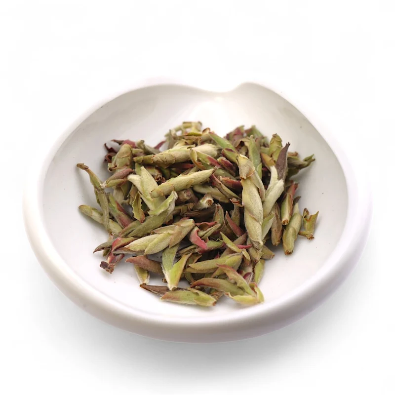 Wilde lila Yunnan-Knospen