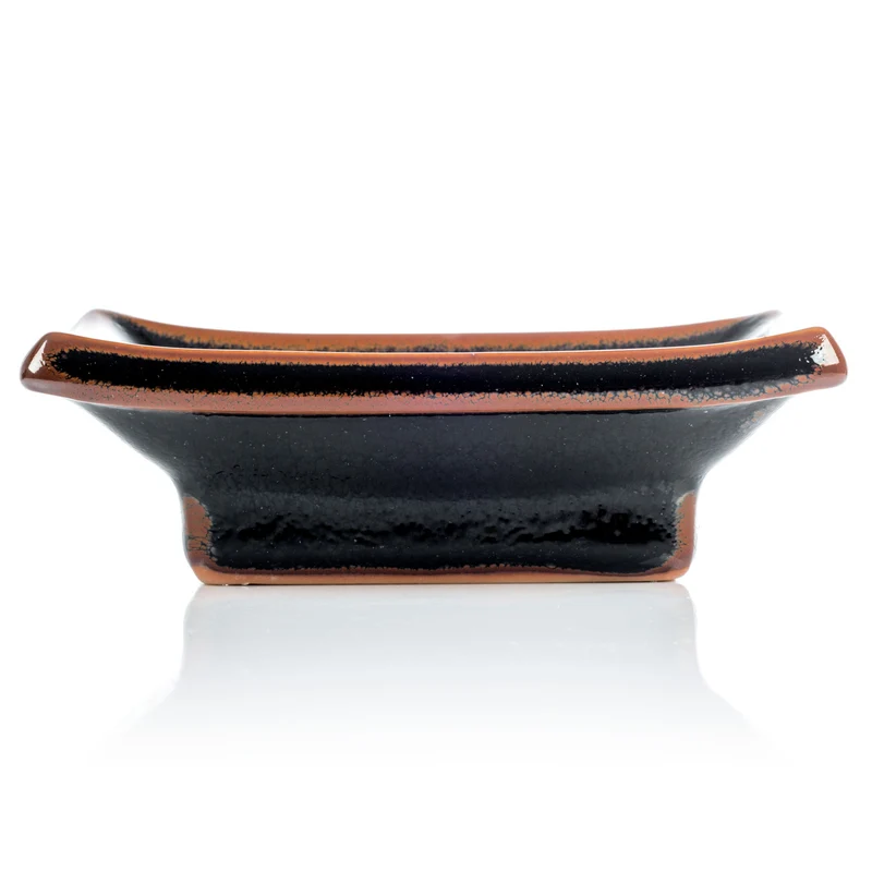 Tenmoku Japanese Sushi Plate Set