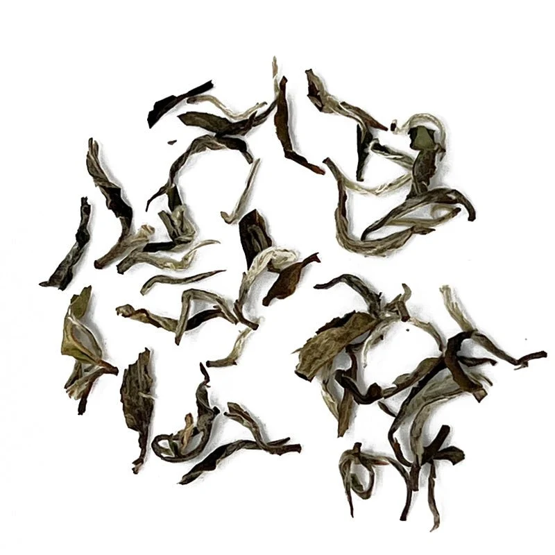 White Forest - Bio-Weißtee aus Nepal