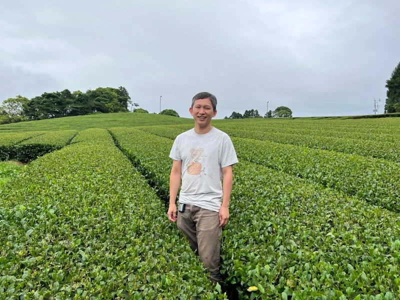 2017 Kagoshima Bio Japanischer Puerh