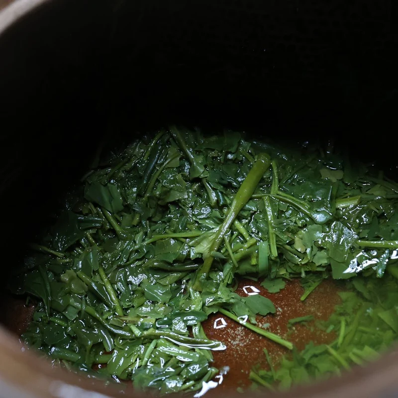 Bio-Kirari-Sencha aus Kagoshima