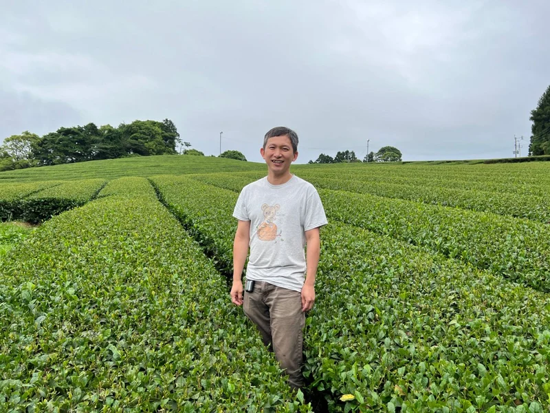 Bio-Kirari-Sencha aus Kagoshima