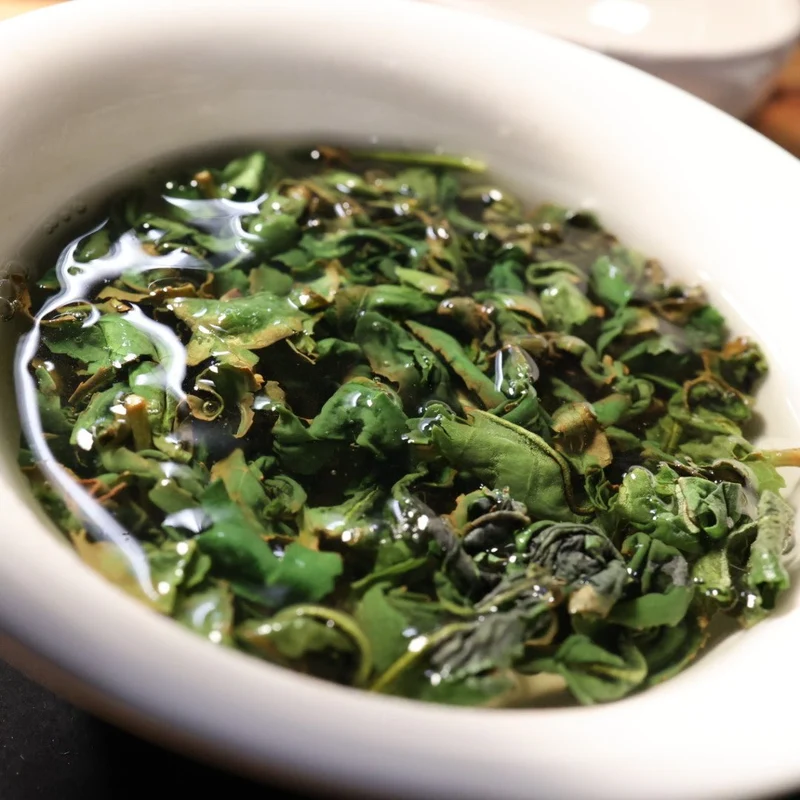 Miyazaki Bio Minami Sayaka Oolong