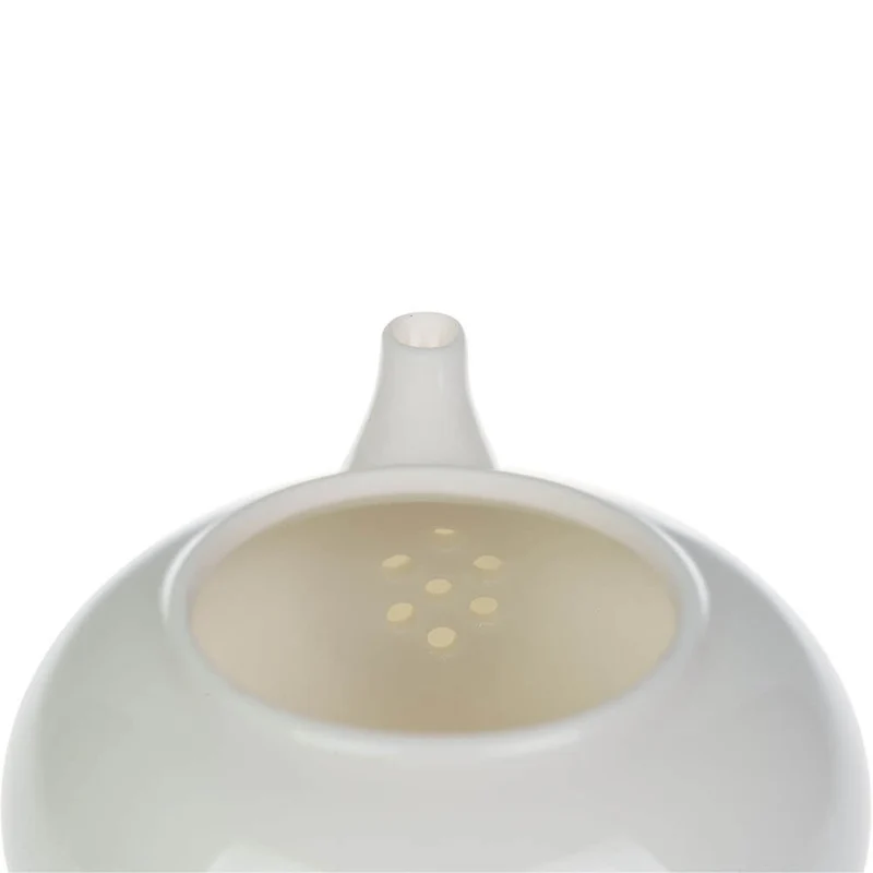 Gongfu Cha Set aus Taiwan