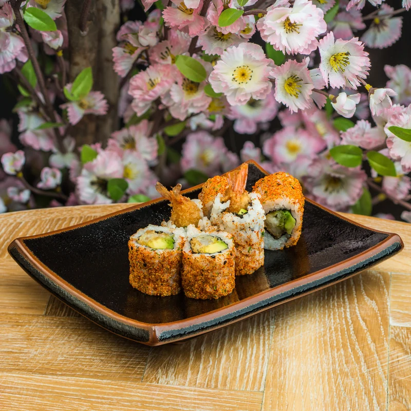 Tenmoku Japanese Sushi Plate