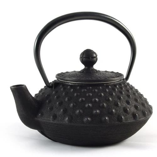 Iwachu Cast Iron Teapot with Hobnail Pattern - 350ml
