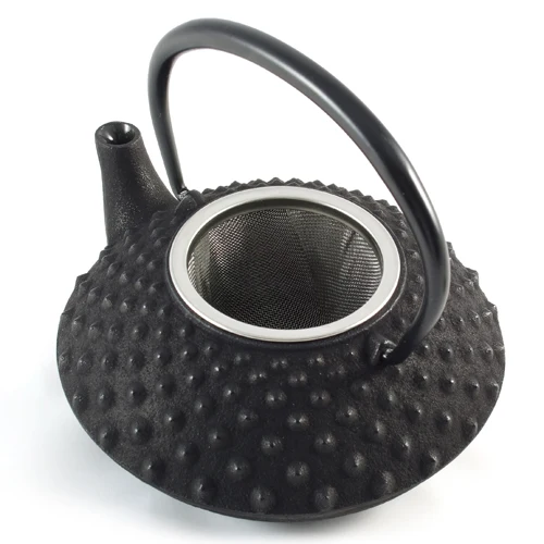 Iwachu Cast Iron Teapot with Hobnail Pattern - 350ml