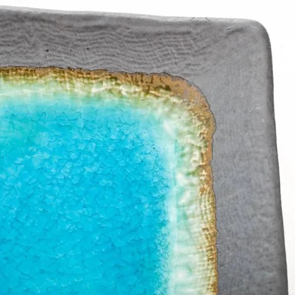 Rectangular Sushi Plate
