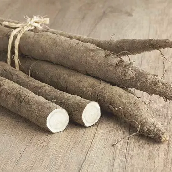 Chikyubatake Organic Gobocha Japanese Burdock Root Tea Bags 15ct.