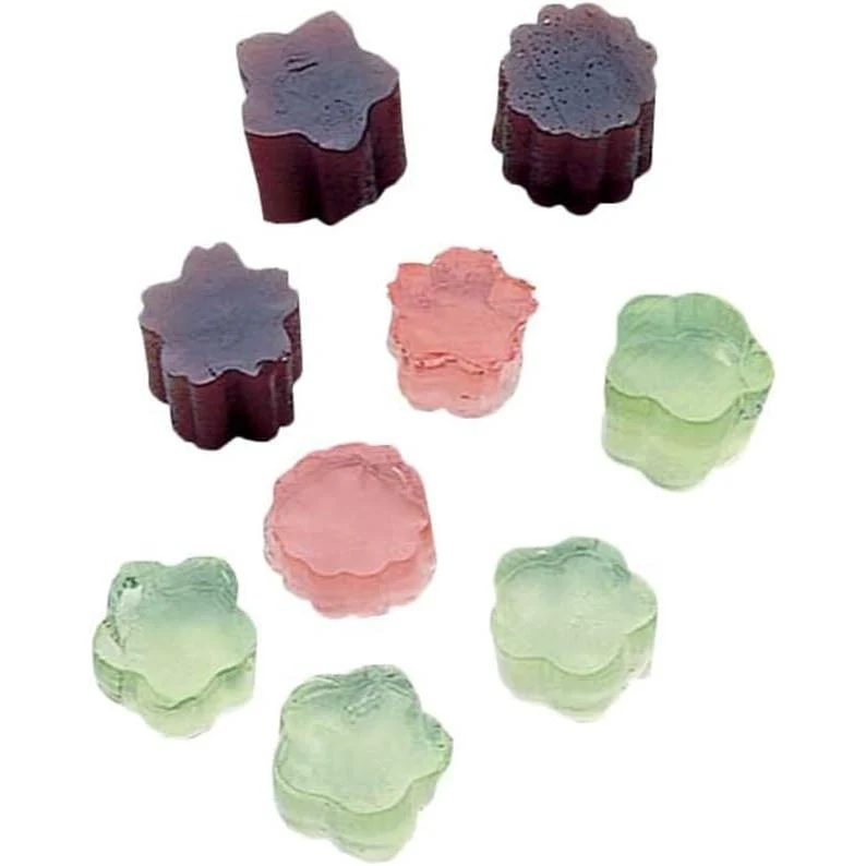 Japanese Decorative Steel Vegetable Cutters With Case (Set of 6)