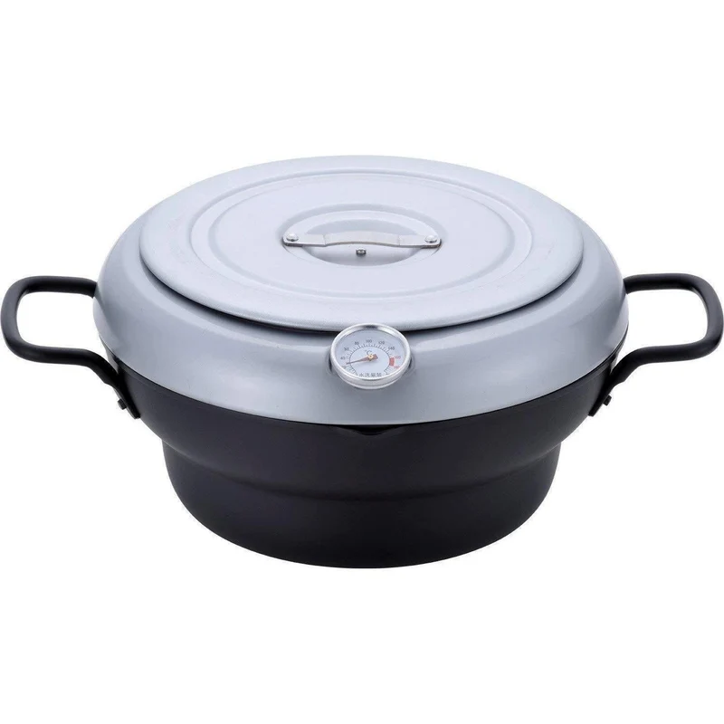 Wahei Freiz Induction Iron Deep Fryer Pot With Lid And Oil Drain Rack 24cm