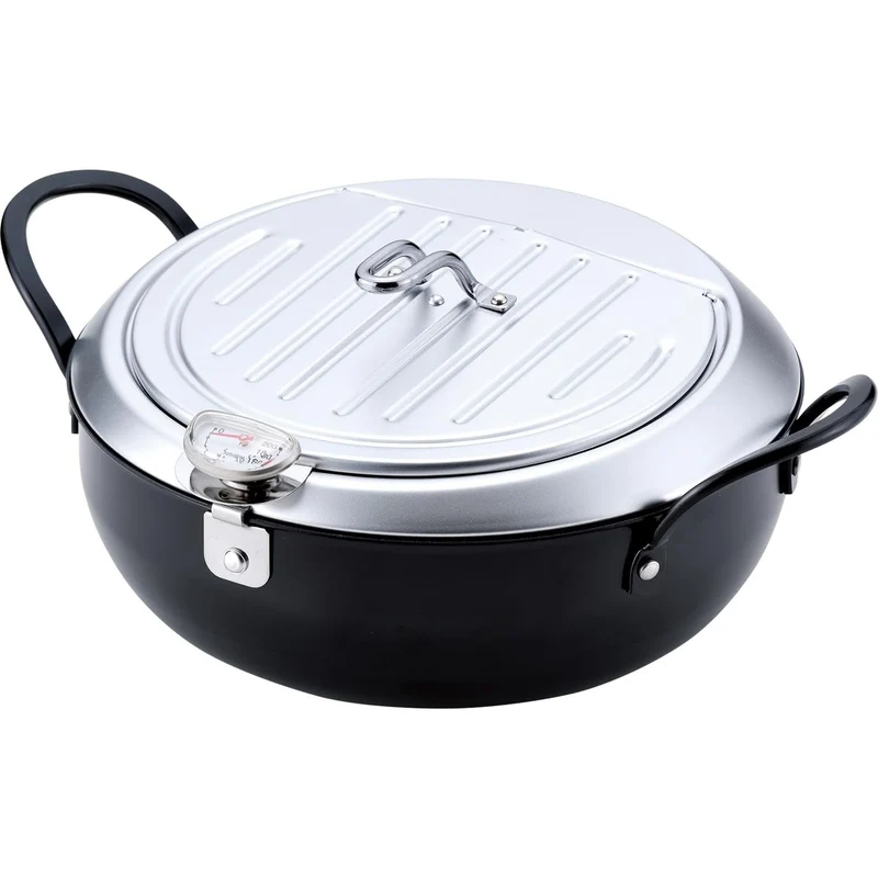 Wahei Freiz Induction Iron Deep Fryer Pot With Lid And Oil Drain Rack 20cm