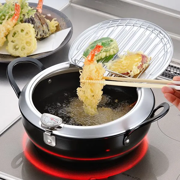 Wahei Freiz Induction Iron Deep Fryer Pot With Lid And Oil Drain Rack 20cm