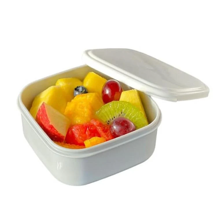 OSK Side Dish Dessert Box Microwaveable Food Storage Container 360ml