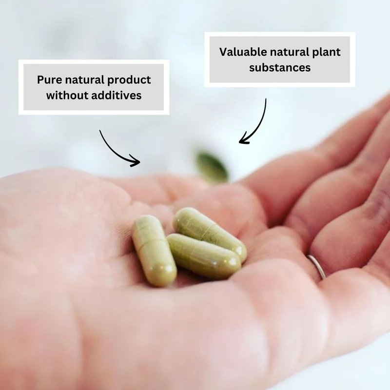Bio Matcha Kapseln PURE NATURE – (60 Stk.)