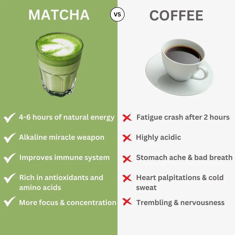 CEREMONIAL PREMIUM QUALITY - MATCHA HORIZON